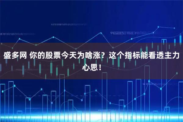盛多网 你的股票今天为啥涨？这个指标能看透主力心思！