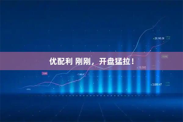 优配利 刚刚，开盘猛拉！