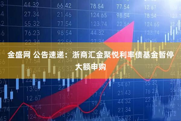 金盛网 公告速递：浙商汇金聚悦利率债基金暂停大额申购