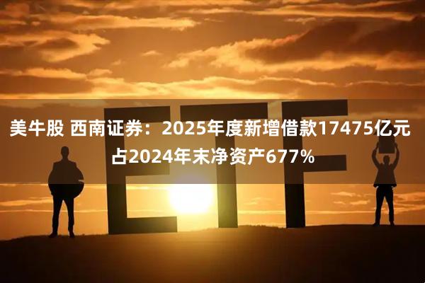 美牛股 西南证券：2025年度新增借款17475亿元 占2024年末净资产677%